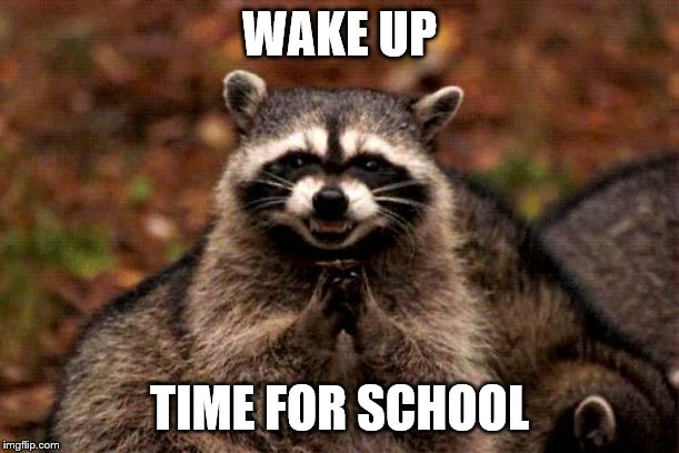 Evil Plotting Raccoon | WAKE UP; TIME FOR SCHOOL | image tagged in memes,evil plotting raccoon | made w/ Imgflip meme maker