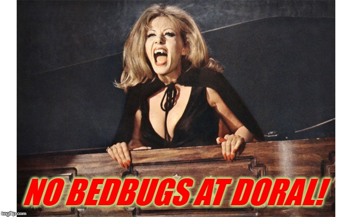 No Bedbugs at Doral | NO BEDBUGS AT DORAL! | image tagged in ingrid pitt,countess dracula,hammer,doral,bedbugs | made w/ Imgflip meme maker