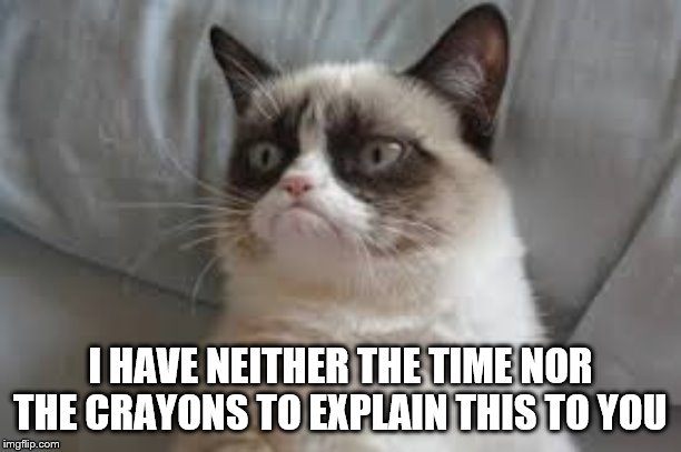 Grumpy cat | I HAVE NEITHER THE TIME NOR THE CRAYONS TO EXPLAIN THIS TO YOU | image tagged in grumpy cat | made w/ Imgflip meme maker
