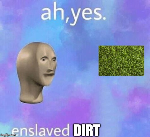 Ah Yes enslaved | DIRT | image tagged in ah yes enslaved | made w/ Imgflip meme maker