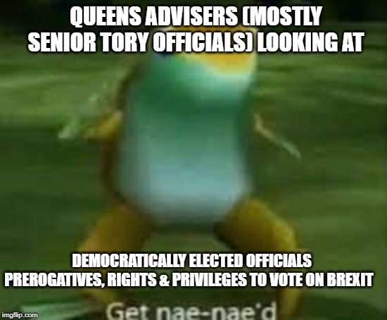 Get Nae-Naed | QUEENS ADVISERS (MOSTLY SENIOR TORY OFFICIALS) LOOKING AT; DEMOCRATICALLY ELECTED OFFICIALS PREROGATIVES, RIGHTS & PRIVILEGES TO VOTE ON BREXIT | image tagged in get nae-naed | made w/ Imgflip meme maker