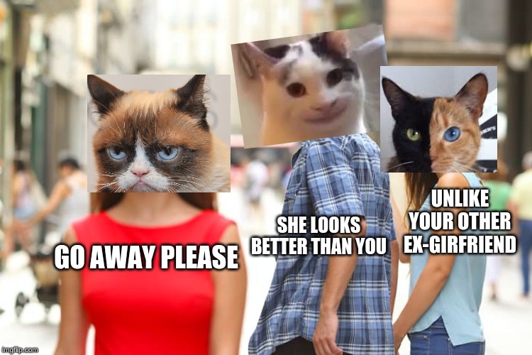 Distracted Boyfriend Meme | UNLIKE YOUR OTHER EX-GIRFRIEND; SHE LOOKS BETTER THAN YOU; GO AWAY PLEASE | image tagged in memes,distracted boyfriend | made w/ Imgflip meme maker