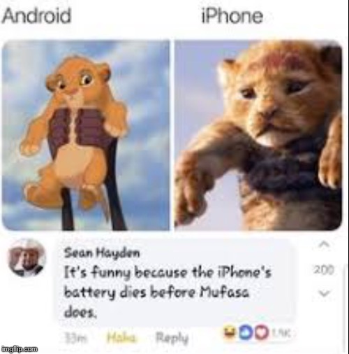 funny lion king