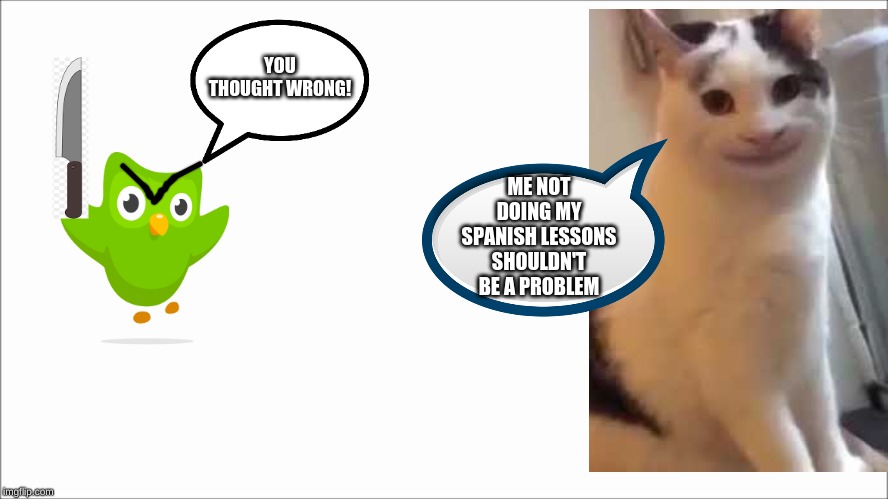 Make no mistakes on duolingo | YOU THOUGHT WRONG! ME NOT DOING MY SPANISH LESSONS SHOULDN'T BE A PROBLEM | image tagged in oh no | made w/ Imgflip meme maker