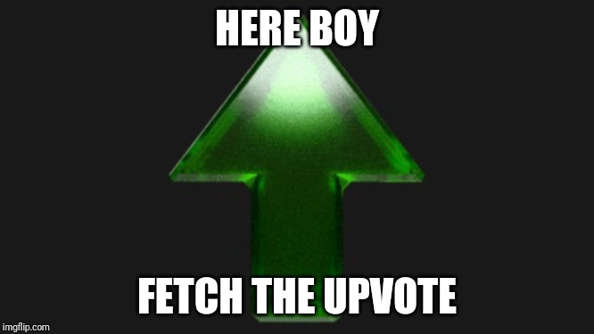 Upvote | HERE BOY; FETCH THE UPVOTE | image tagged in upvote | made w/ Imgflip meme maker