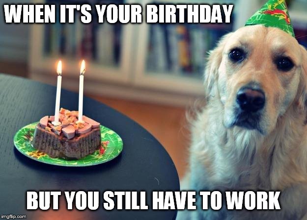 sad birthday dog | WHEN IT'S YOUR BIRTHDAY; BUT YOU STILL HAVE TO WORK | image tagged in sad birthday dog | made w/ Imgflip meme maker