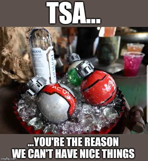 Fictional sci-fi explosive-shaped soft-drink container won't fly...thanks TSA | TSA... ...YOU'RE THE REASON WE CAN'T HAVE NICE THINGS | image tagged in star wars,tsa | made w/ Imgflip meme maker