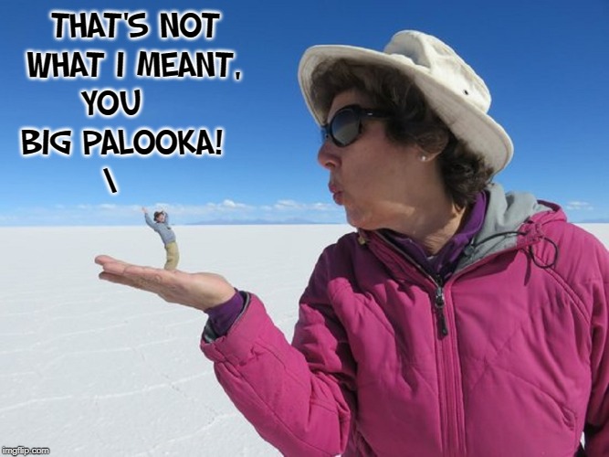 "Communication is the Hardest Language." —Vince Vance | THAT'S NOT WHAT I MEANT,  YOU      BIG PALOOKA!         \ | image tagged in vince vance,salt flats,utah,perspective,blow job,giant | made w/ Imgflip meme maker