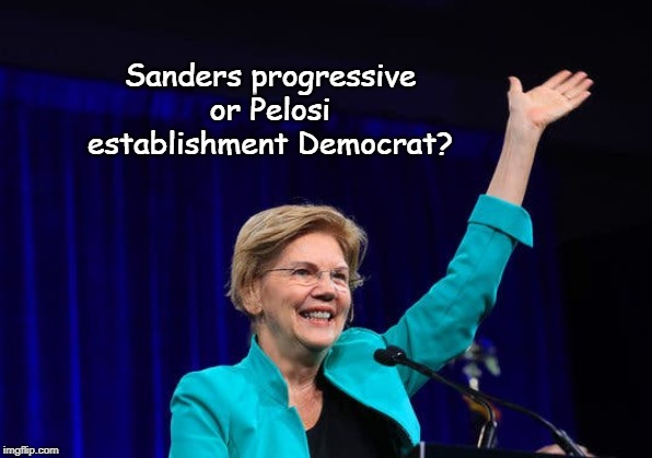 A Trojan Horse? |  Sanders progressive or Pelosi establishment Democrat? | image tagged in warren,scam | made w/ Imgflip meme maker
