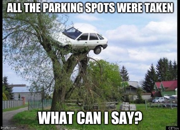 Secure Parking | ALL THE PARKING SPOTS WERE TAKEN; WHAT CAN I SAY? | image tagged in memes,secure parking | made w/ Imgflip meme maker