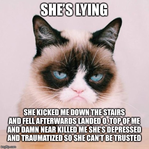 grumpy cat again | SHE’S LYING SHE KICKED ME DOWN THE STAIRS AND FELL AFTERWARDS LANDED O. TOP OF ME AND DAMN NEAR KILLED ME SHE’S DEPRESSED AND TRAUMATIZED SO | image tagged in grumpy cat again | made w/ Imgflip meme maker