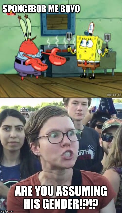 SPONGEBOB ME BOYO; ARE YOU ASSUMING HIS GENDER!?!? | image tagged in triggered feminist | made w/ Imgflip meme maker