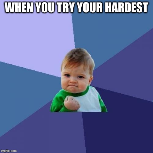 Success Kid Meme | WHEN YOU TRY YOUR HARDEST | image tagged in memes,success kid | made w/ Imgflip meme maker