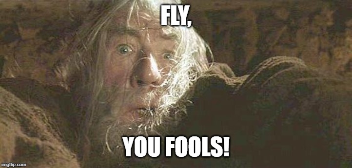 Gandalf Fly You Fools | FLY, YOU FOOLS! | image tagged in gandalf fly you fools | made w/ Imgflip meme maker