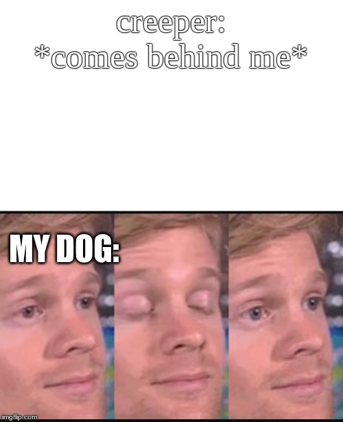 Blinking guy | creeper: *comes behind me*; MY DOG: | image tagged in blinking guy | made w/ Imgflip meme maker