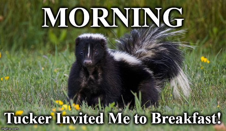 sk | MORNING; Tucker Invited Me to Breakfast! | image tagged in sk | made w/ Imgflip meme maker
