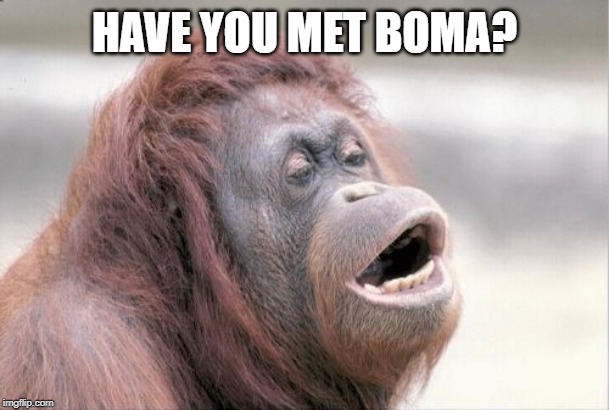 Monkey OOH Meme | HAVE YOU MET BOMA? | image tagged in memes,monkey ooh | made w/ Imgflip meme maker