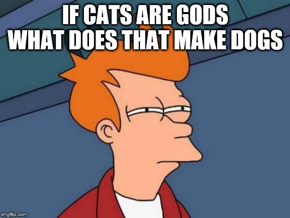 Futurama Fry Meme | IF CATS ARE GODS WHAT DOES THAT MAKE DOGS | image tagged in memes,futurama fry | made w/ Imgflip meme maker