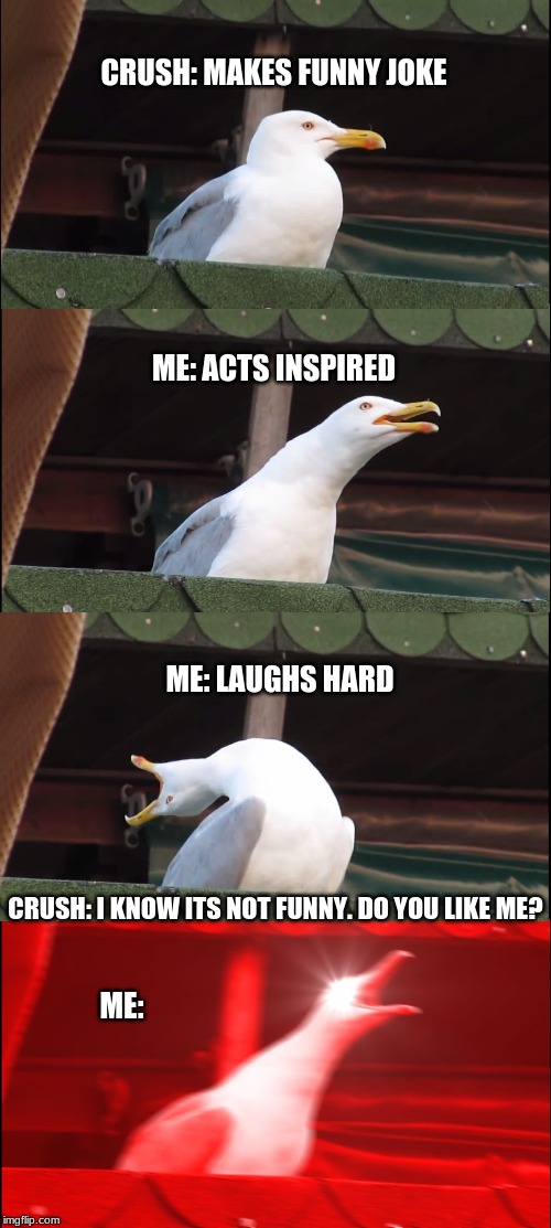 Inhaling Seagull | CRUSH: MAKES FUNNY JOKE; ME: ACTS INSPIRED; ME: LAUGHS HARD; CRUSH: I KNOW ITS NOT FUNNY. DO YOU LIKE ME? ME: | image tagged in memes,inhaling seagull | made w/ Imgflip meme maker