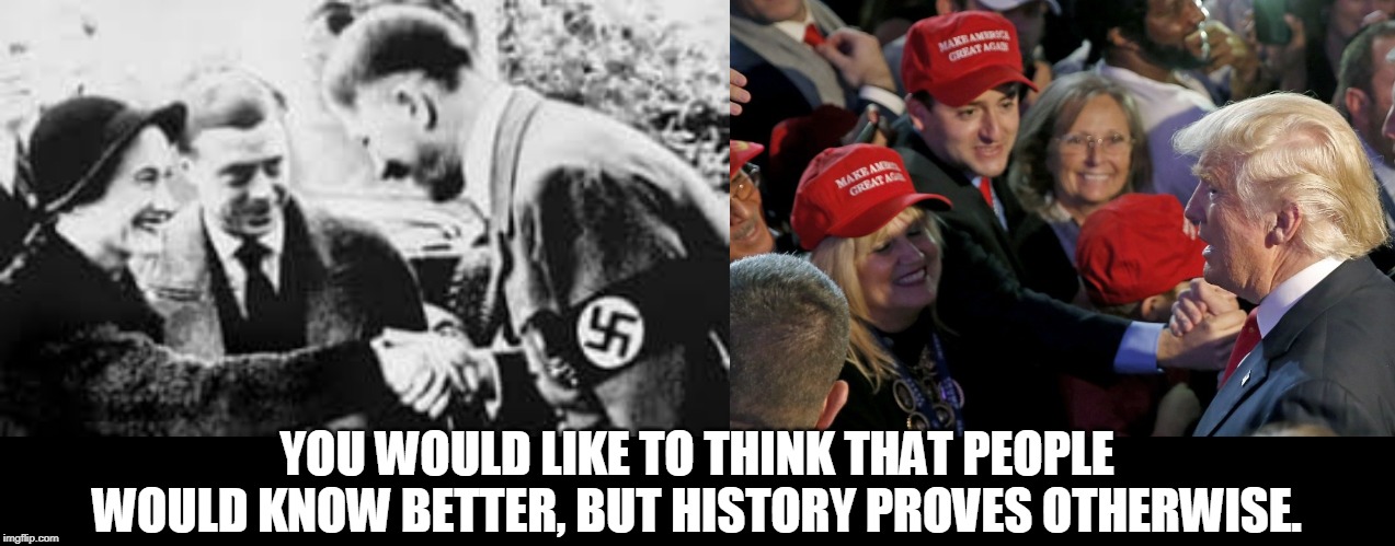 LOSERS FOLLOWING LOSERS | YOU WOULD LIKE TO THINK THAT PEOPLE WOULD KNOW BETTER, BUT HISTORY PROVES OTHERWISE. | image tagged in history,nazi,trump,followers,losers,idiot | made w/ Imgflip meme maker