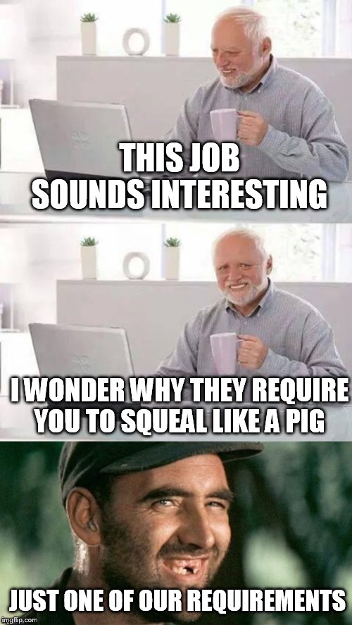 THIS JOB SOUNDS INTERESTING; I WONDER WHY THEY REQUIRE YOU TO SQUEAL LIKE A PIG; JUST ONE OF OUR REQUIREMENTS | image tagged in memes,hide the pain harold | made w/ Imgflip meme maker