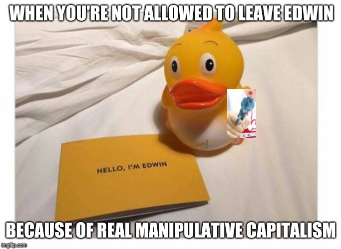 WHEN YOU'RE NOT ALLOWED TO LEAVE EDWIN; BECAUSE OF REAL MANIPULATIVE CAPITALISM | image tagged in duck | made w/ Imgflip meme maker