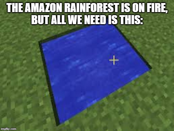 Its true... | THE AMAZON RAINFOREST IS ON FIRE,
BUT ALL WE NEED IS THIS: | image tagged in minecraft | made w/ Imgflip meme maker
