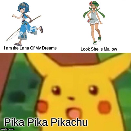 Surprised Pikachu | I am the Lana Of My Dreams; Look She Is Mallow; Pika Pika Pikachu | image tagged in memes,surprised pikachu | made w/ Imgflip meme maker