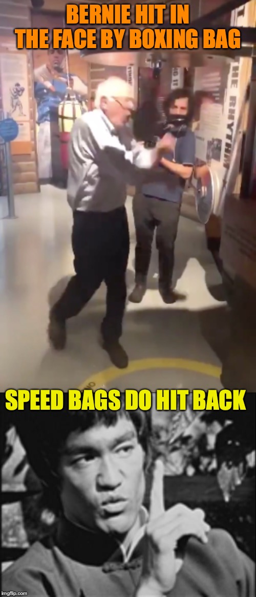 Bernie Punched By "Nazi" Bag | BERNIE HIT IN THE FACE BY BOXING BAG; SPEED BAGS DO HIT BACK | image tagged in one bruce lee,bernie sanders,boxing,nazis | made w/ Imgflip meme maker