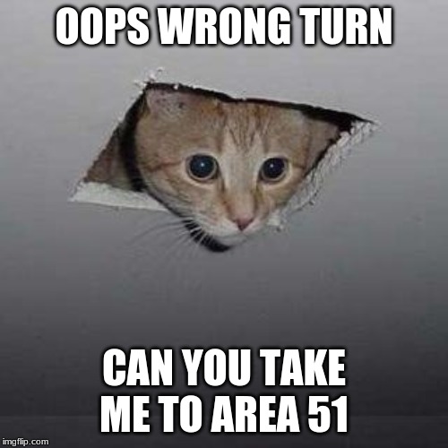 Ceiling Cat | OOPS WRONG TURN; CAN YOU TAKE ME TO AREA 51 | image tagged in memes,ceiling cat | made w/ Imgflip meme maker
