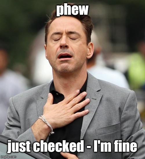 relieved rdj | phew just checked - I'm fine | image tagged in relieved rdj | made w/ Imgflip meme maker
