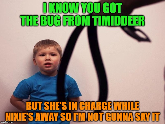 I KNOW YOU GOT THE BUG FROM TIMIDDEER BUT SHE'S IN CHARGE WHILE NIXIE'S AWAY SO I'M NOT GUNNA SAY IT | made w/ Imgflip meme maker