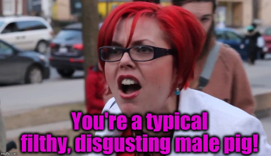 You're a typical filthy, disgusting male pig! | image tagged in sjw | made w/ Imgflip meme maker