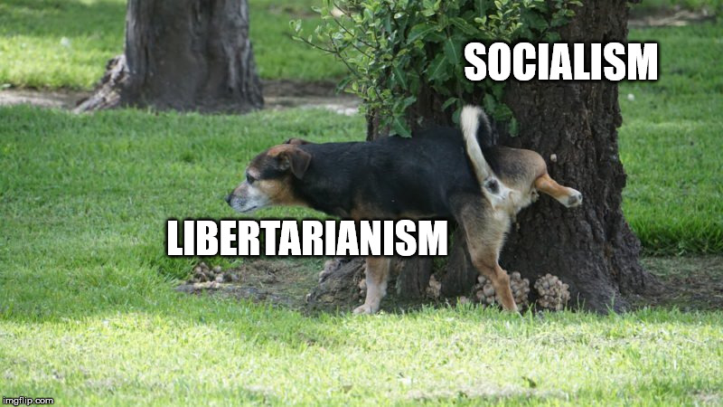 SOCIALISM; LIBERTARIANISM | made w/ Imgflip meme maker