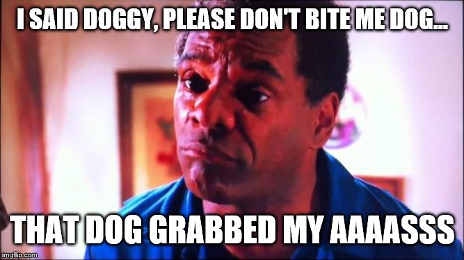 Friday Pops | I SAID DOGGY, PLEASE DON'T BITE ME DOG... THAT DOG GRABBED MY AAAASSS | image tagged in friday pops | made w/ Imgflip meme maker
