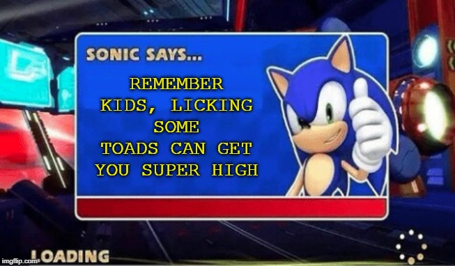 Sonic Says... | REMEMBER KIDS, LICKING SOME TOADS CAN GET YOU SUPER HIGH | image tagged in sonic says | made w/ Imgflip meme maker