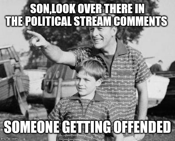 Look Son | SON,LOOK OVER THERE IN THE POLITICAL STREAM COMMENTS; SOMEONE GETTING OFFENDED | image tagged in memes,look son | made w/ Imgflip meme maker