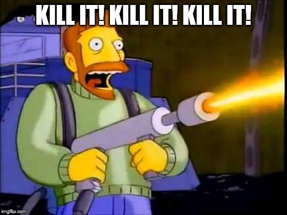 Kill it with fire | KILL IT! KILL IT! KILL IT! | image tagged in kill it with fire | made w/ Imgflip meme maker