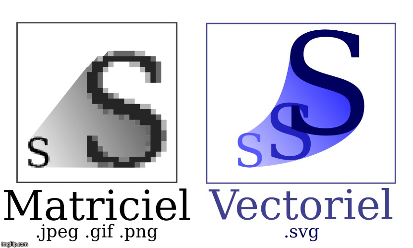SVG French | image tagged in svg french | made w/ Imgflip meme maker