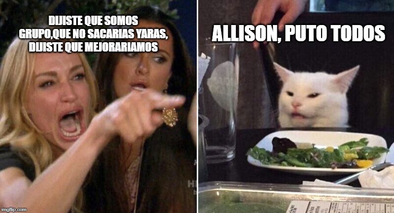 Woman Pointing at Cat | DIJISTE QUE SOMOS GRUPO,QUE NO SACARIAS YARAS, DIJISTE QUE MEJORARIAMOS; ALLISON, PUTO TODOS | image tagged in woman pointing at cat | made w/ Imgflip meme maker