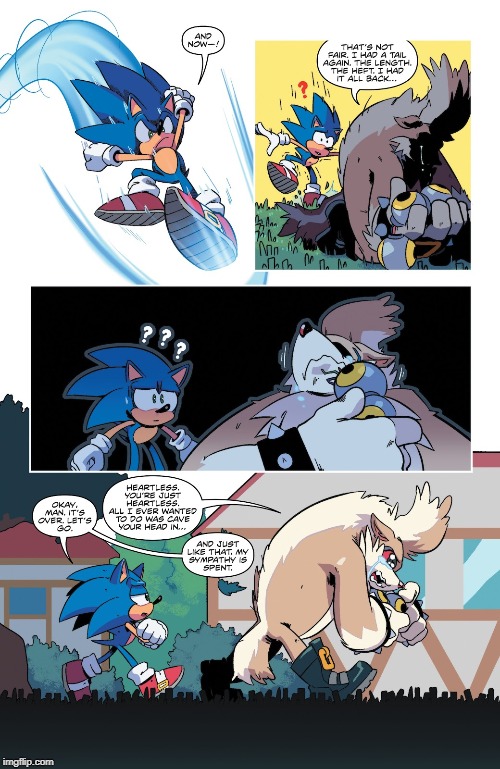 Some people don't deserve the sympathy. | image tagged in sonic the hedgehog,sonic,sonic meme,comics,memes,funny memes | made w/ Imgflip meme maker