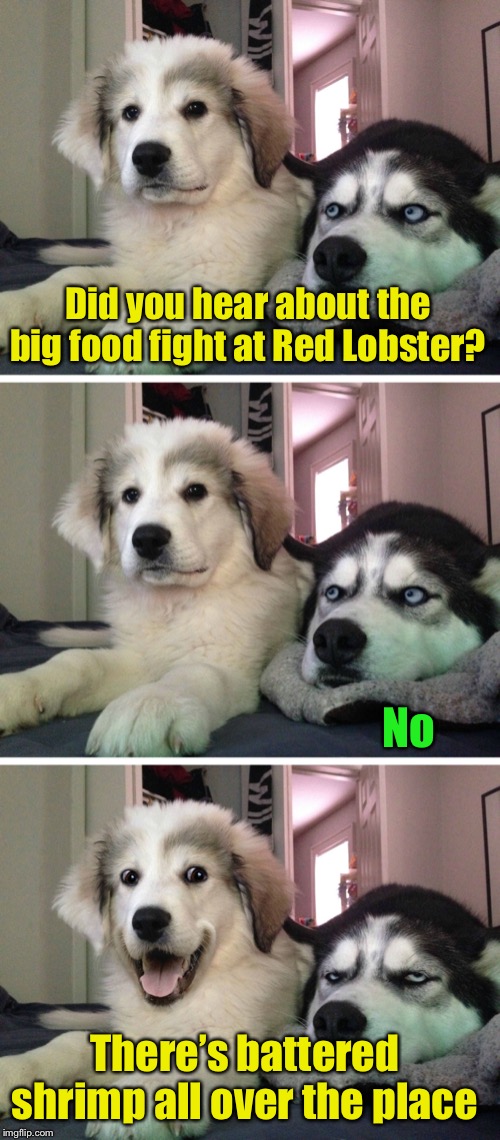 Bad pun dogs | Did you hear about the big food fight at Red Lobster? No; There’s battered shrimp all over the place | image tagged in bad pun dogs | made w/ Imgflip meme maker