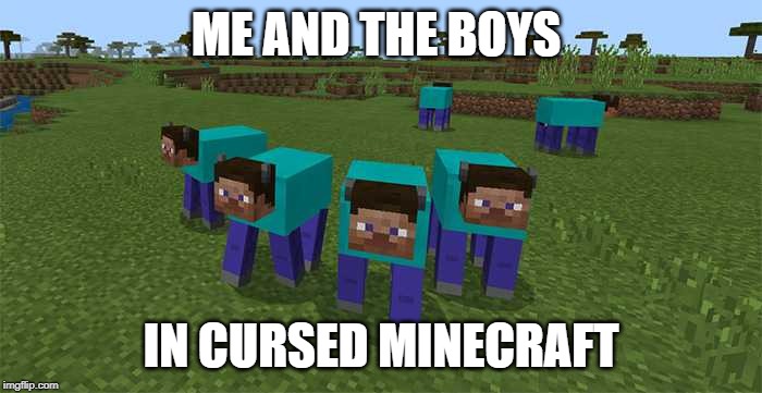 me and the boys | ME AND THE BOYS; IN CURSED MINECRAFT | image tagged in me and the boys | made w/ Imgflip meme maker