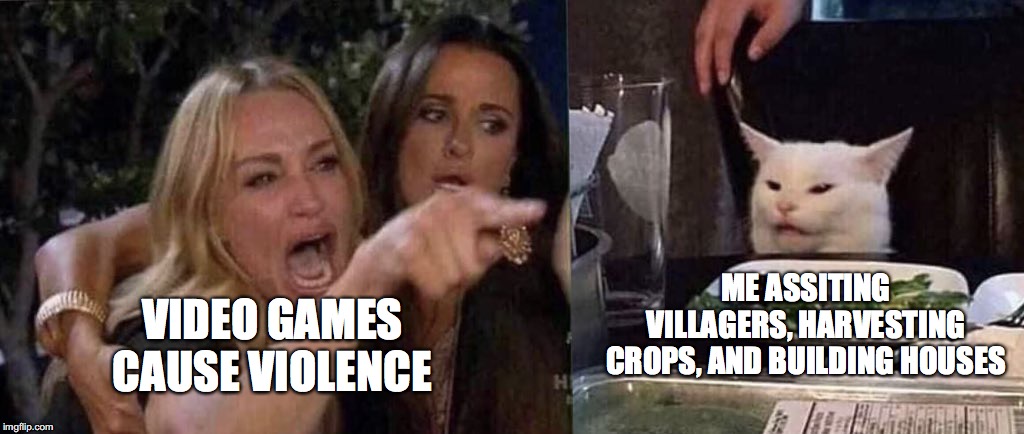 woman yelling at cat | ME ASSITING VILLAGERS, HARVESTING CROPS, AND BUILDING HOUSES; VIDEO GAMES CAUSE VIOLENCE | image tagged in woman yelling at cat | made w/ Imgflip meme maker