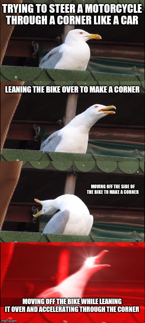 Inhaling Seagull Meme | TRYING TO STEER A MOTORCYCLE THROUGH A CORNER LIKE A CAR; LEANING THE BIKE OVER TO MAKE A CORNER; MOVING OFF THE SIDE OF THE BIKE TO MAKE A CORNER; MOVING OFF THE BIKE WHILE LEANING IT OVER AND ACCELERATING THROUGH THE CORNER | image tagged in memes,inhaling seagull | made w/ Imgflip meme maker