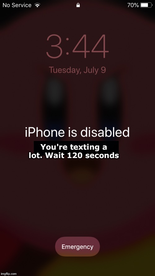 Disabled Phone | You're texting a lot. Wait 120 seconds | image tagged in disabled phone | made w/ Imgflip meme maker