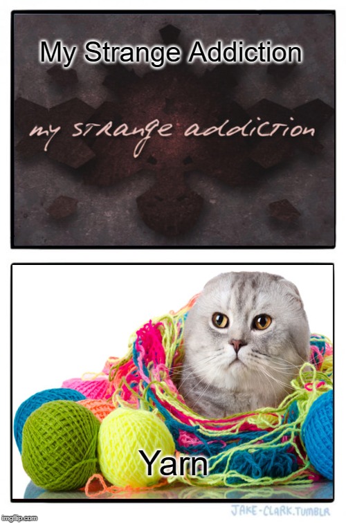 Two Buttons | My Strange Addiction; Yarn | image tagged in memes,two buttons | made w/ Imgflip meme maker