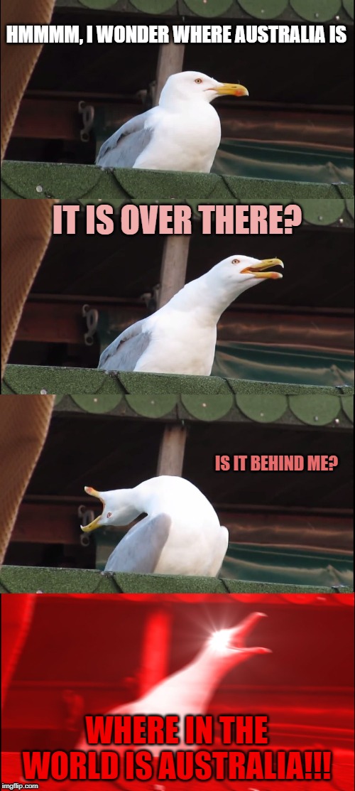 Inhaling Seagull | HMMMM, I WONDER WHERE AUSTRALIA IS; IT IS OVER THERE? IS IT BEHIND ME? WHERE IN THE WORLD IS AUSTRALIA!!! | image tagged in memes,inhaling seagull | made w/ Imgflip meme maker