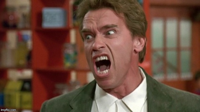 arnold schwarzenegger screaming kindergarten cop | image tagged in arnold schwarzenegger screaming kindergarten cop | made w/ Imgflip meme maker