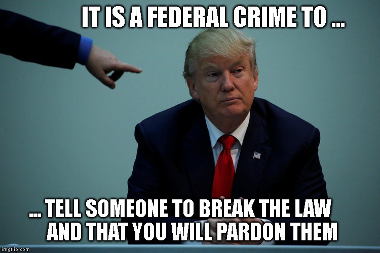 Corrupt Criminal Traitor | IT IS A FEDERAL CRIME TO ... ... TELL SOMEONE TO BREAK THE LAW               AND THAT YOU WILL PARDON THEM | image tagged in impeach trump,high crimes,conman,traitor,liar | made w/ Imgflip meme maker